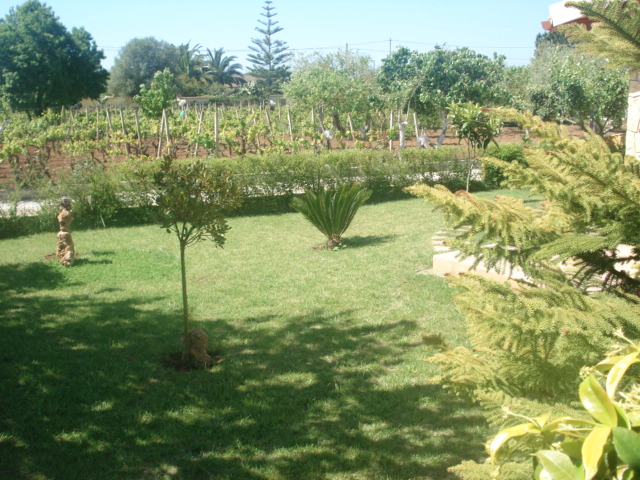 The green lawn ©Alghero Home Holidays