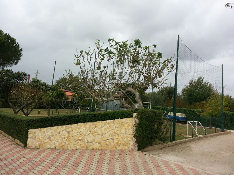 Der gazebo ©Alghero Home Holidays